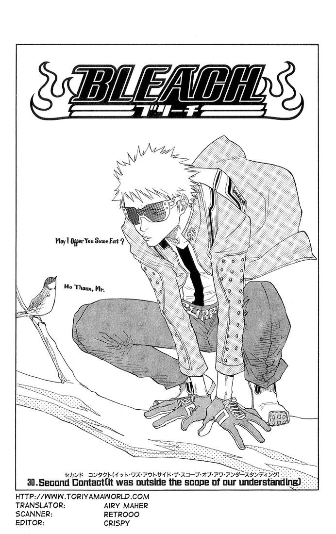 Bleach chapter 30 page 2