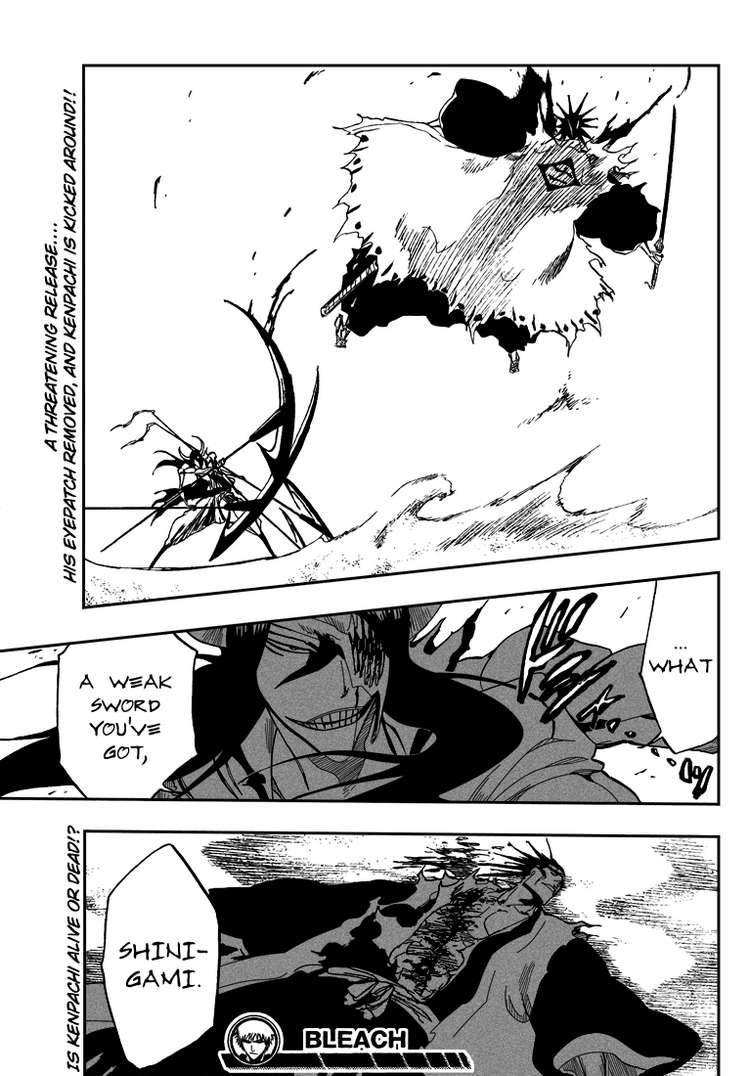 Bleach chapter 309 page 17