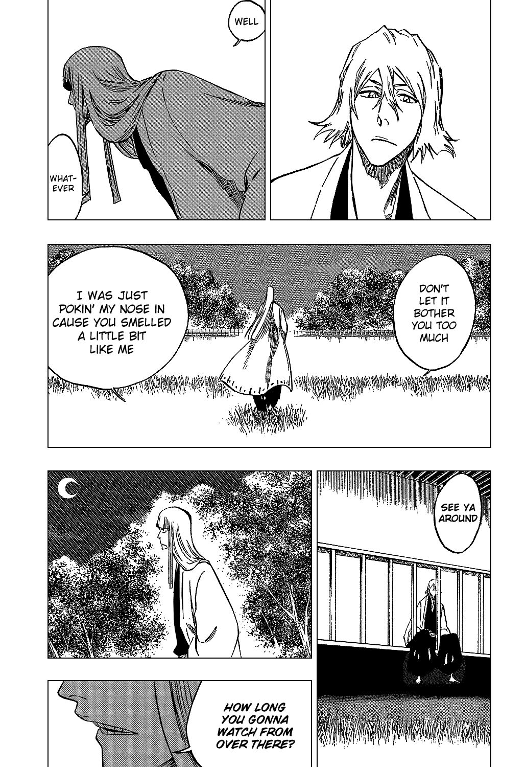 Bleach chapter 315.02 page 19