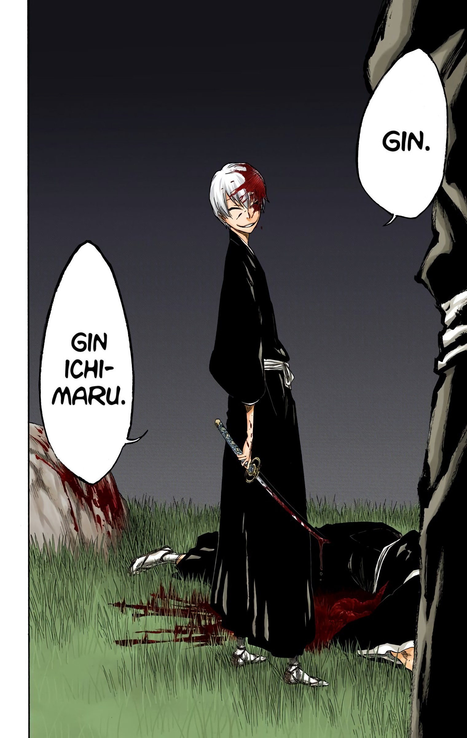 Bleach chapter 315.4 page 18