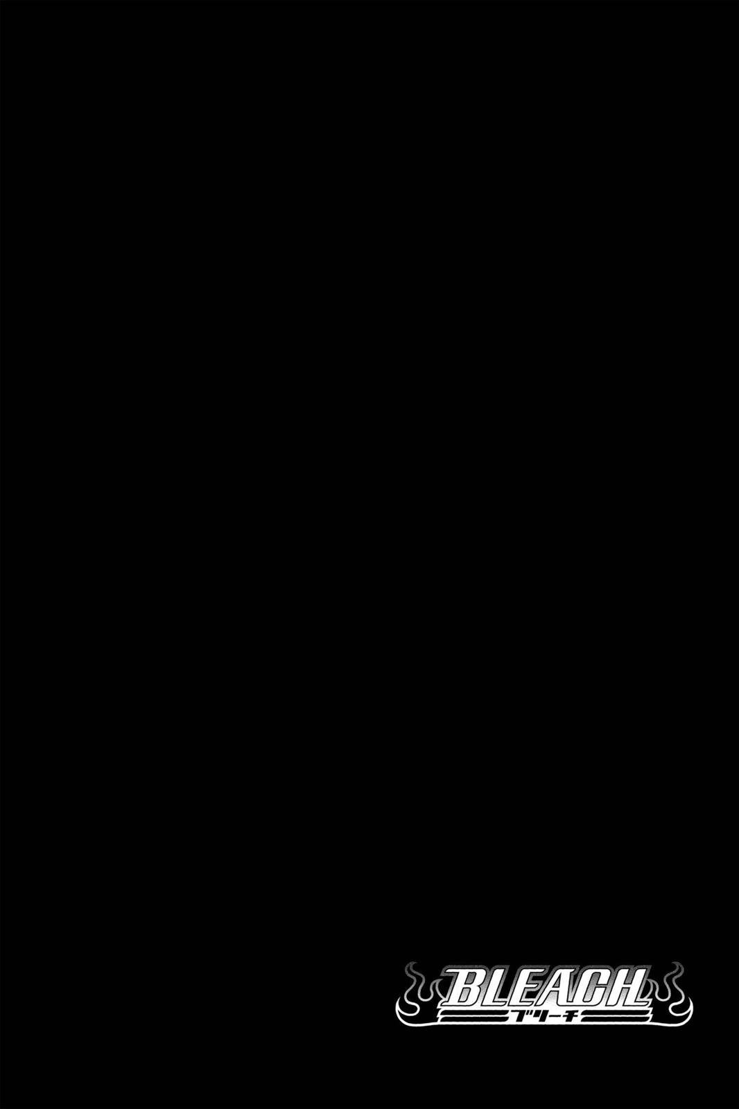 Bleach chapter 315.5 page 28