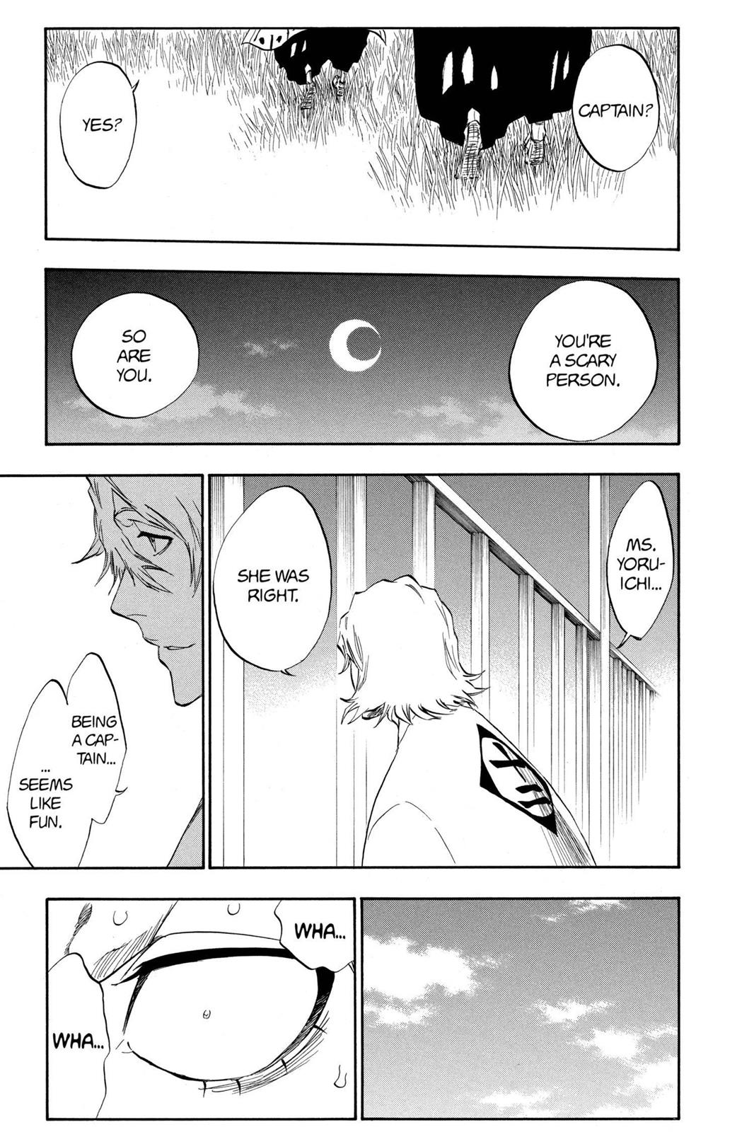 Bleach chapter 315.5 page 44