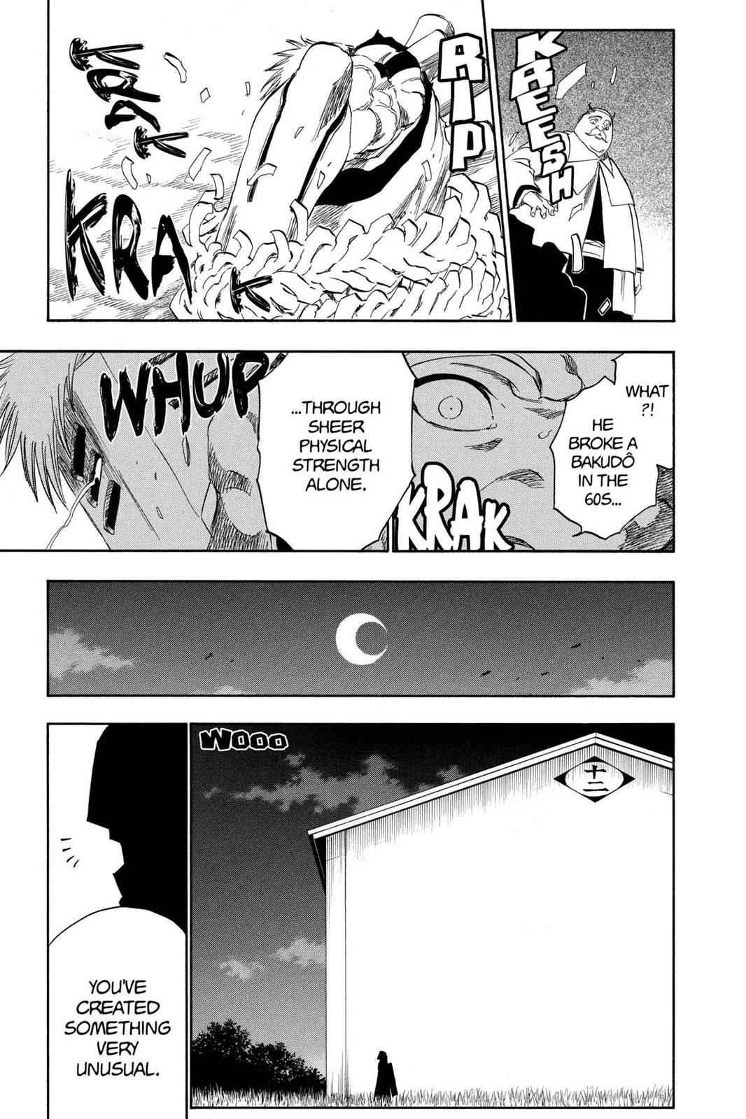 Bleach chapter 315.7 page 17
