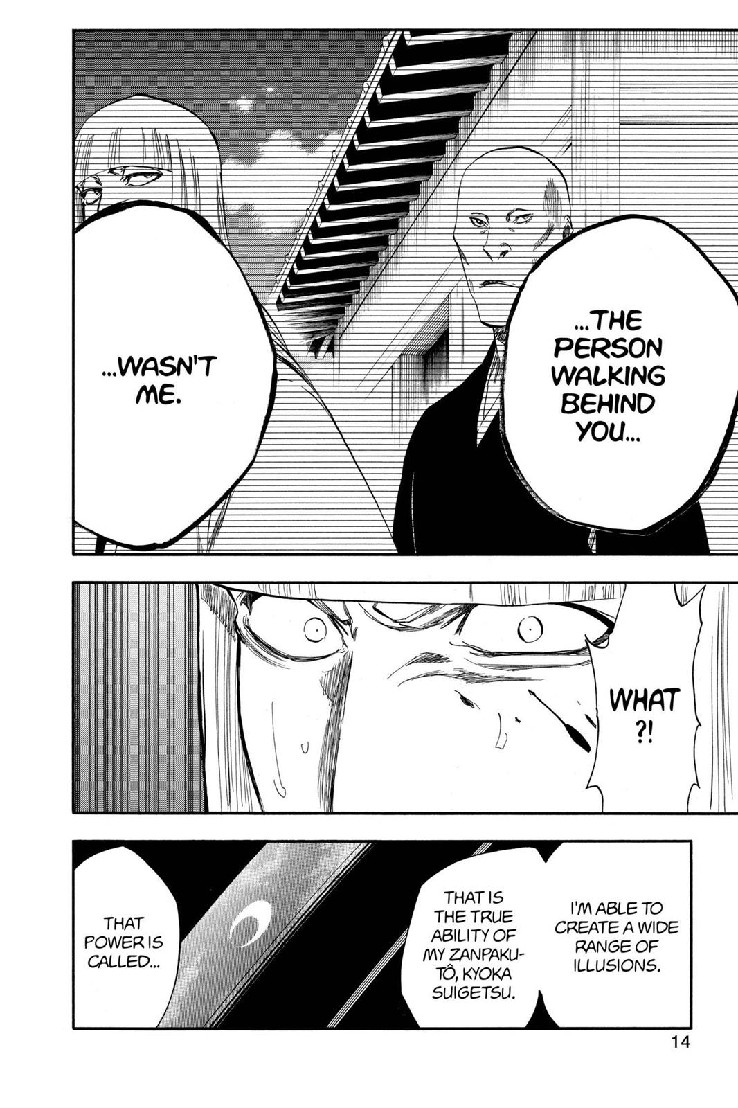 Bleach chapter 315.8 page 13
