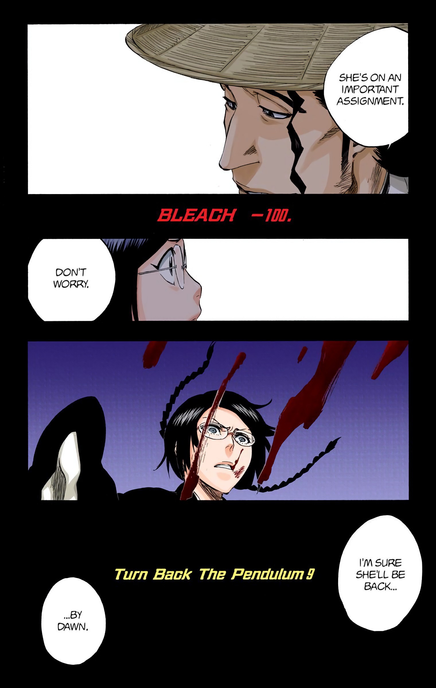 Bleach chapter 315.9 page 6