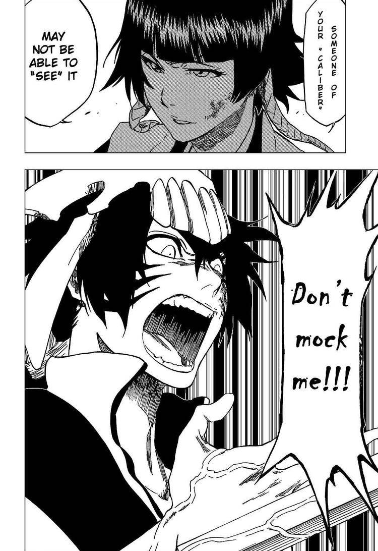 Bleach chapter 333 page 5