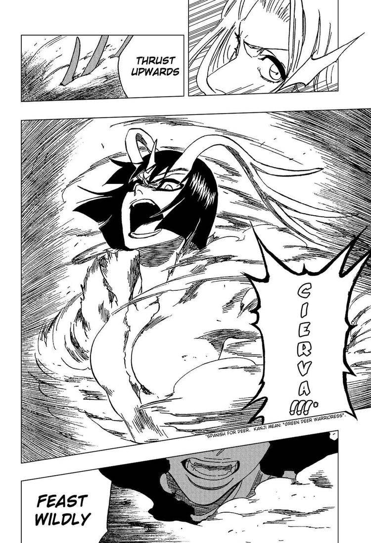 Bleach chapter 335 page 15