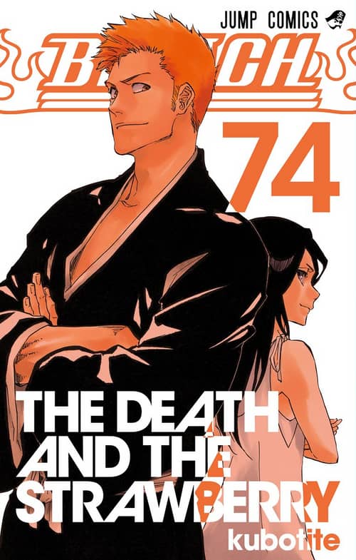 Cover of Bleach