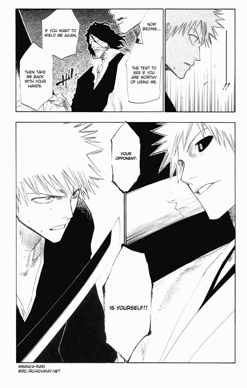 Bleach chapter 110 page 18