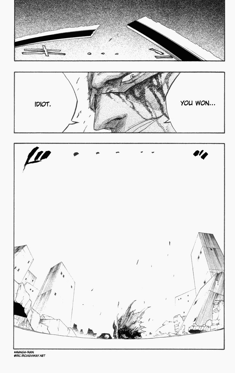 Bleach chapter 113 page 17