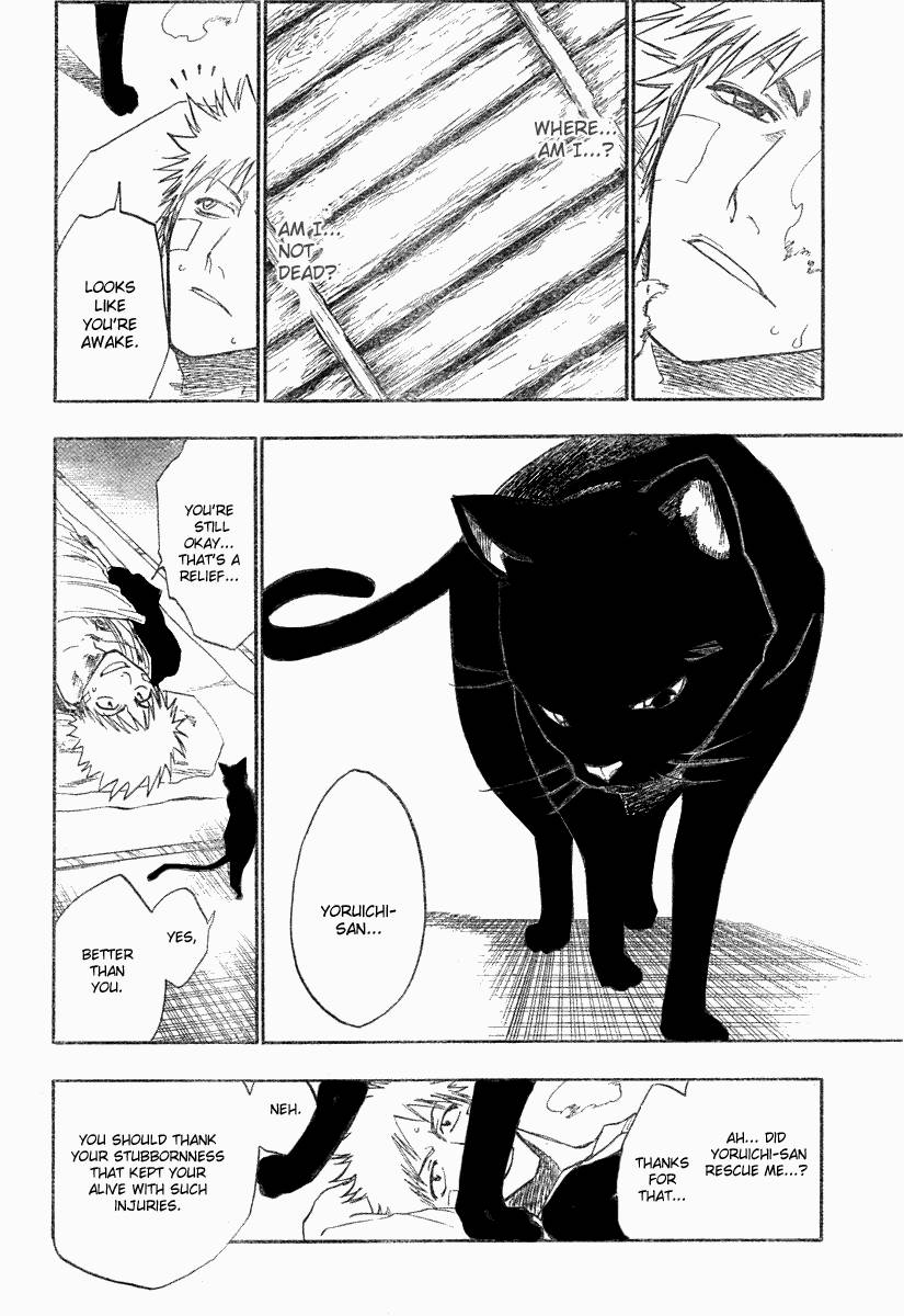 Bleach chapter 116 page 14