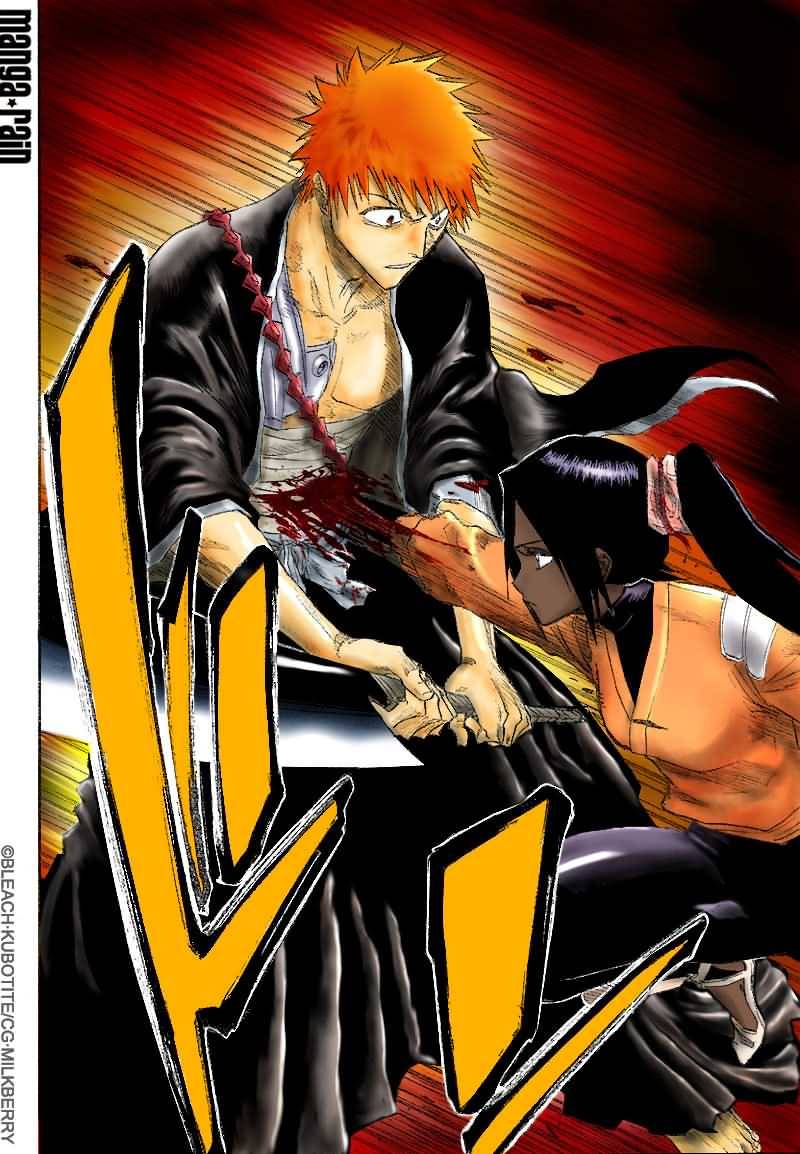 Bleach chapter 118 page 10