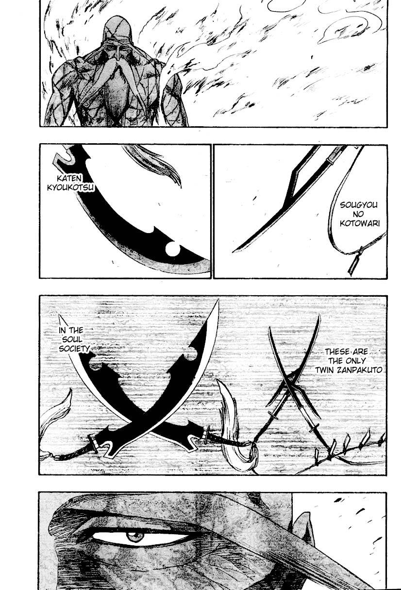 Bleach chapter 156 page 13