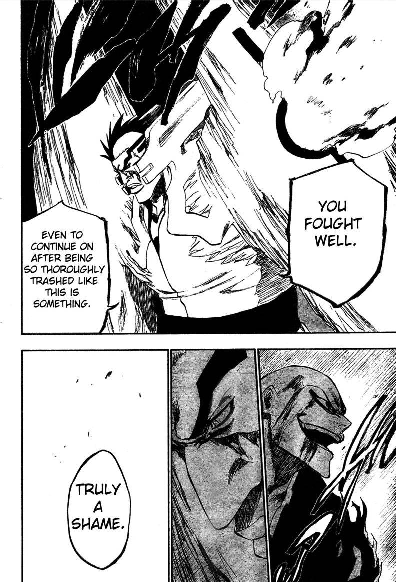 Bleach chapter 204 page 17