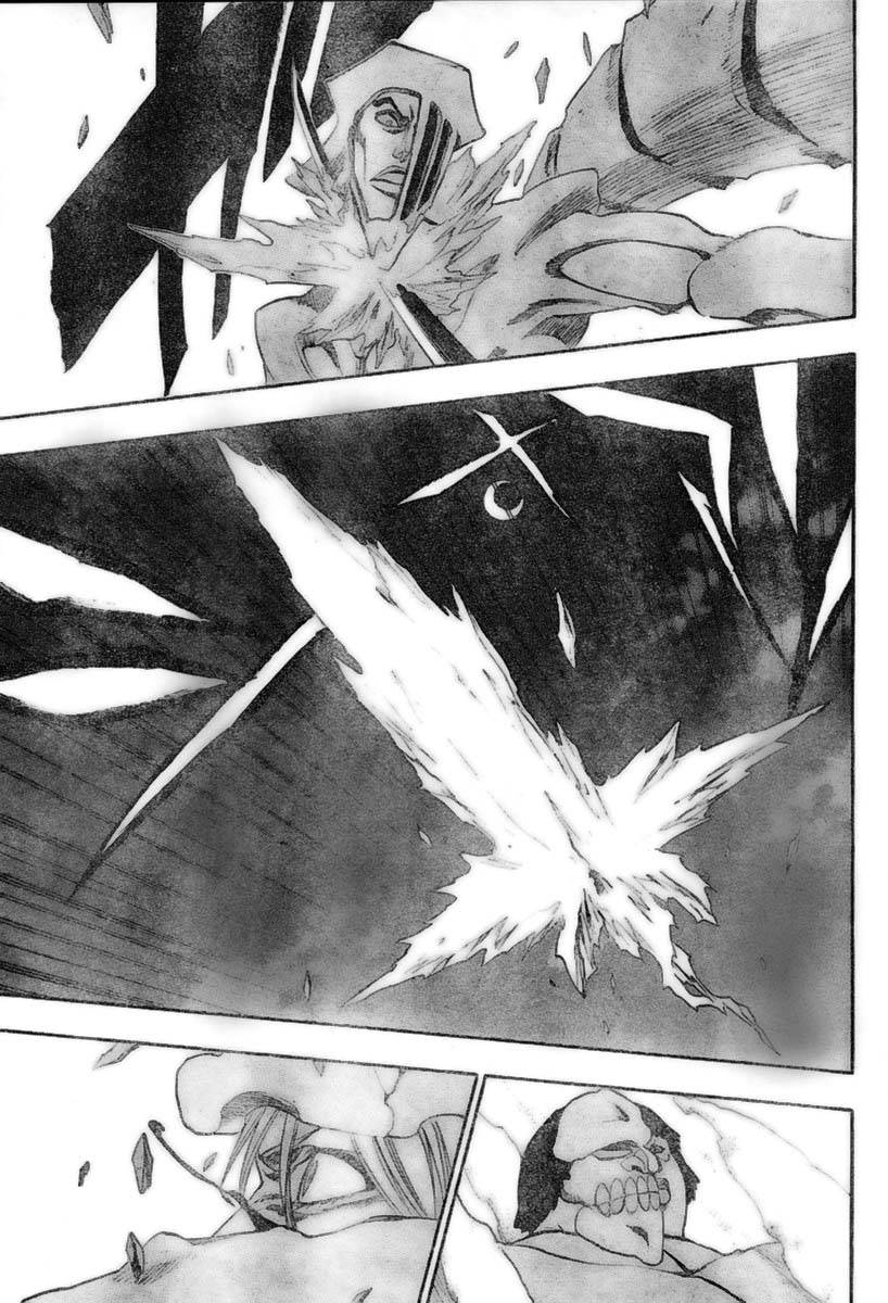 Bleach chapter 210 page 15