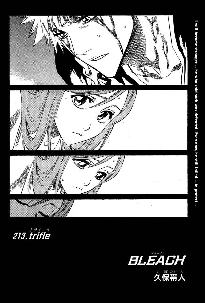 Bleach chapter 213 page 7