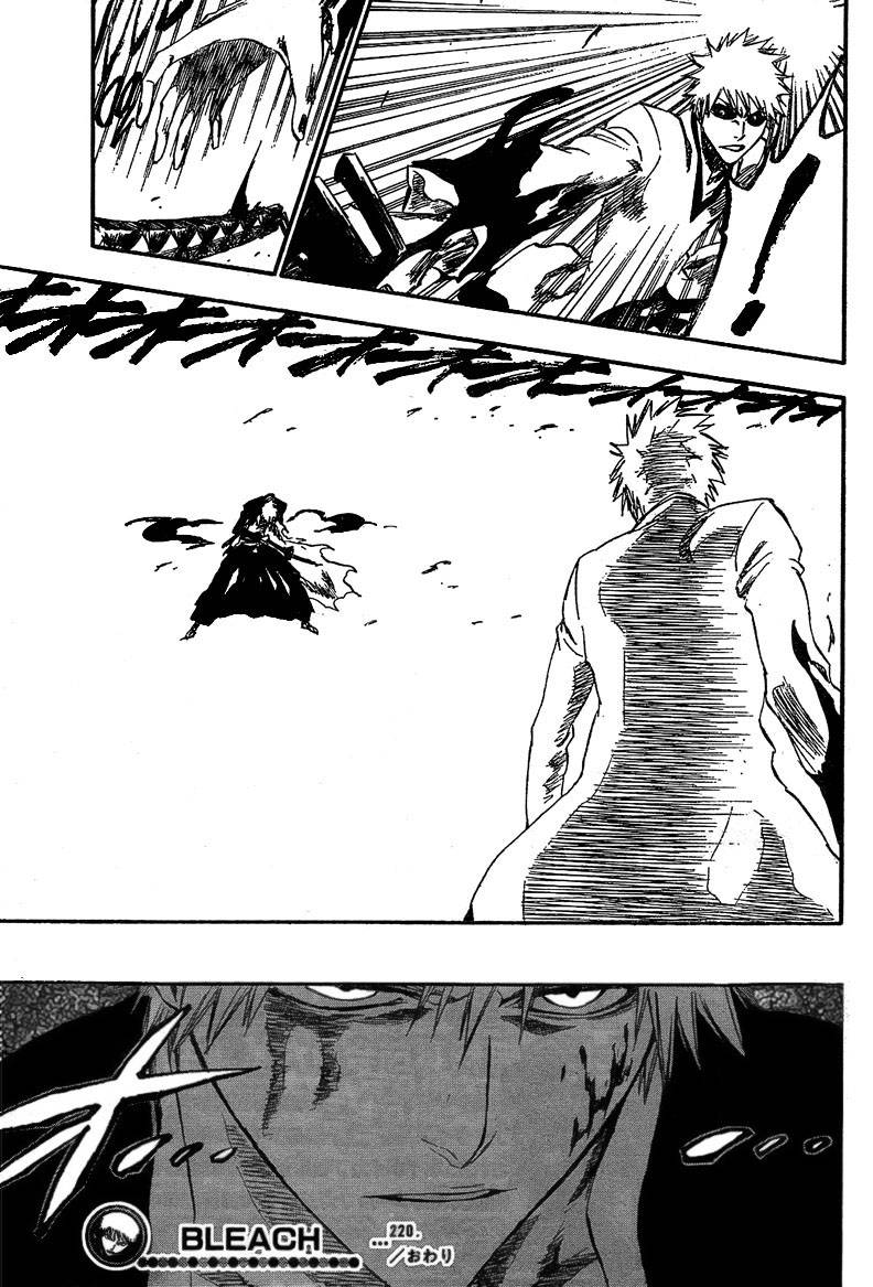 Bleach chapter 220 page 18