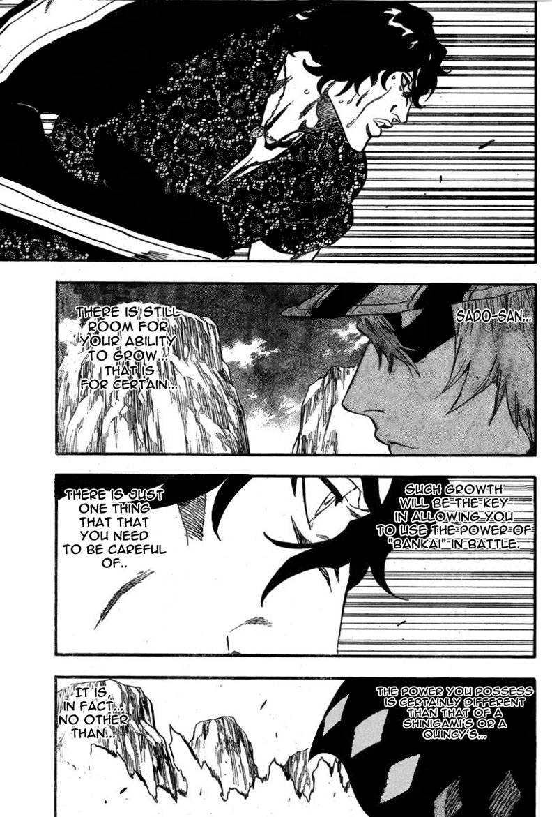 Bleach chapter 224 page 16