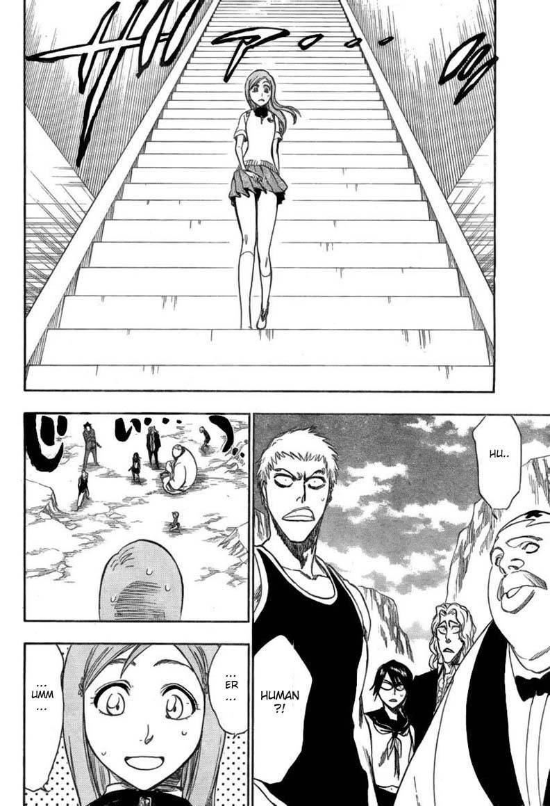 Bleach chapter 225 page 11