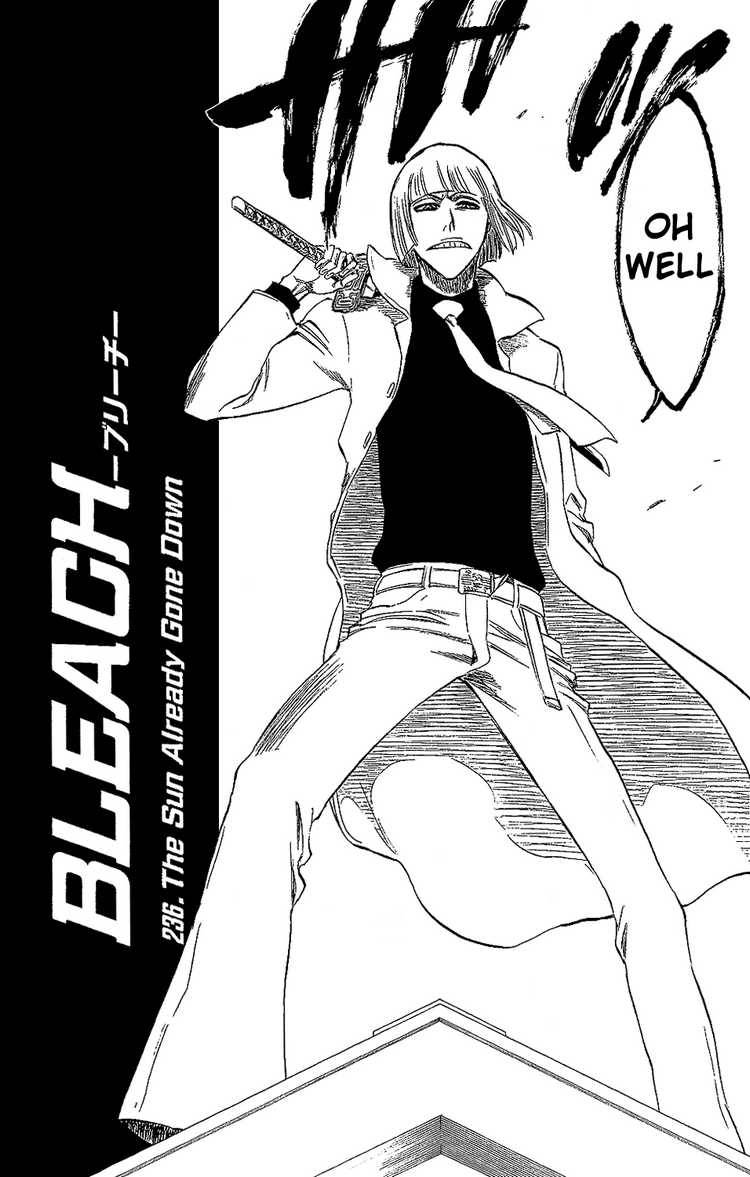 Bleach chapter 236 page 3