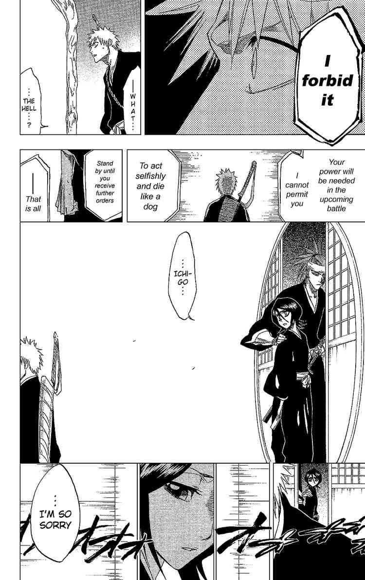 Bleach chapter 238 page 16