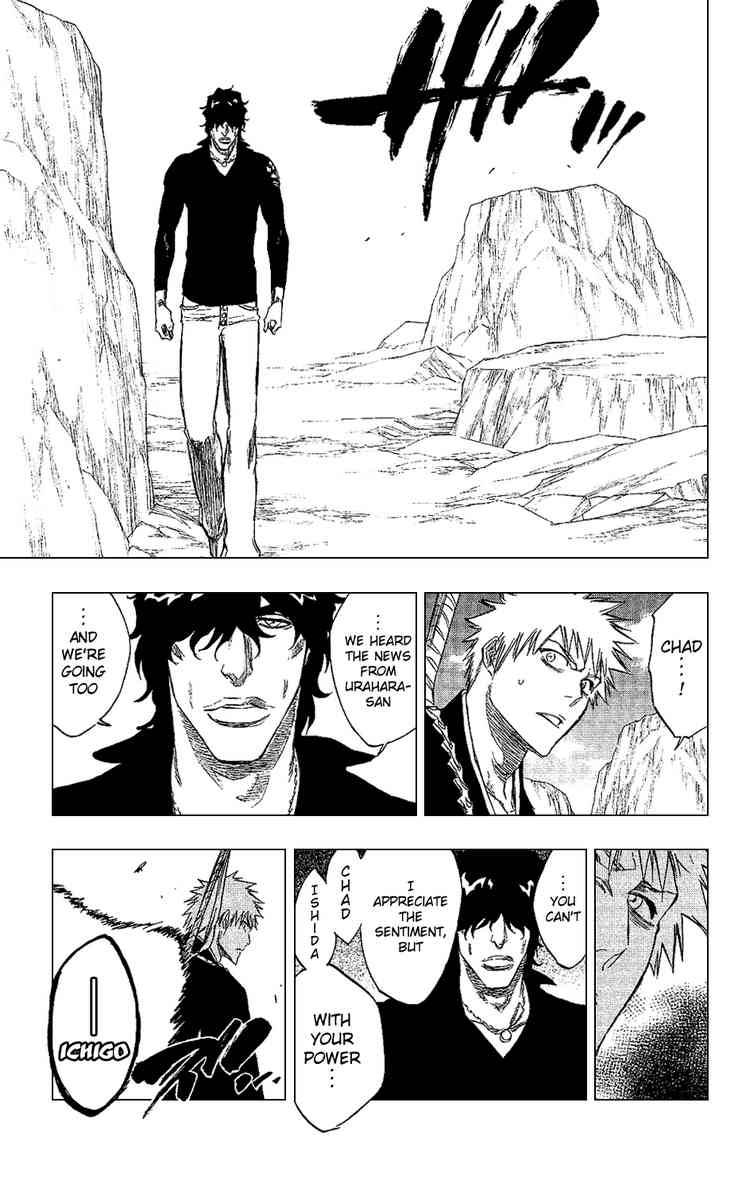 Bleach chapter 239 page 17