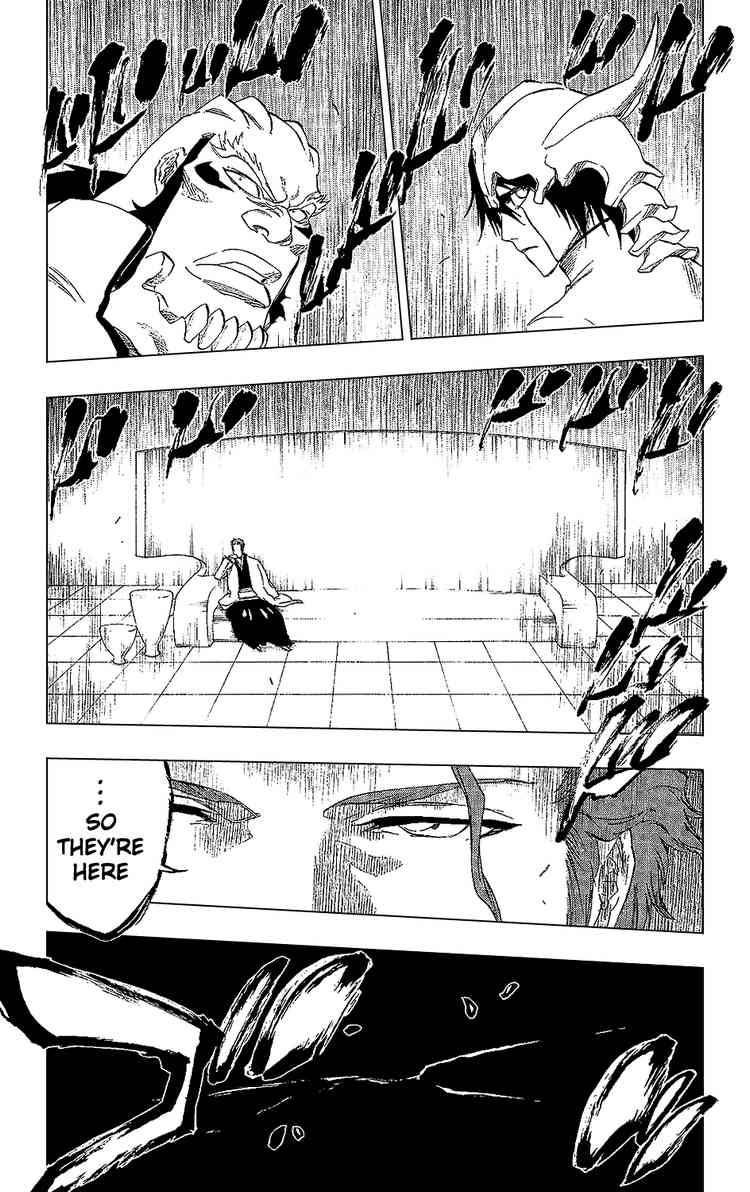 Bleach chapter 241 page 14
