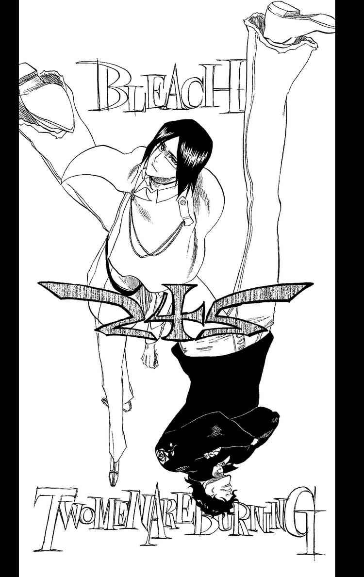Bleach chapter 242 page 5