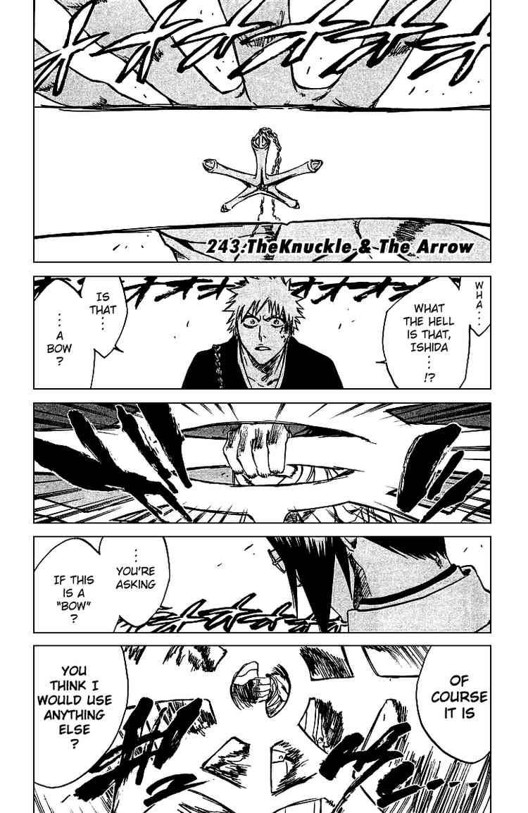 Bleach chapter 243 page 5