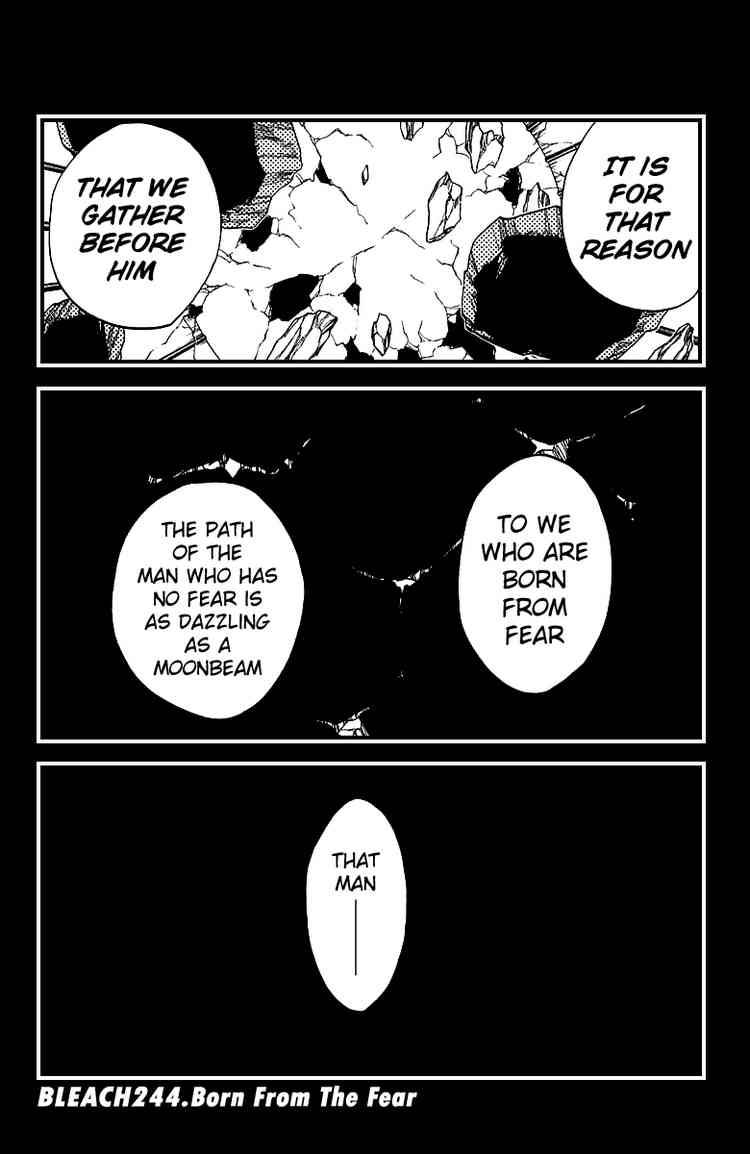 Bleach chapter 244 page 5