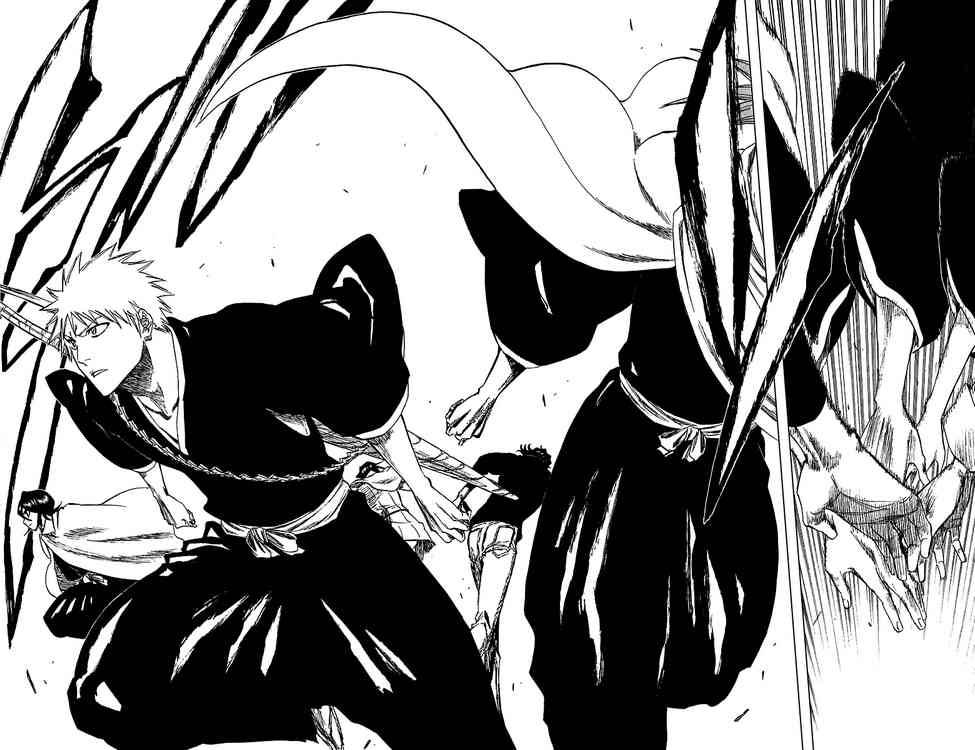 Bleach chapter 248 page 17