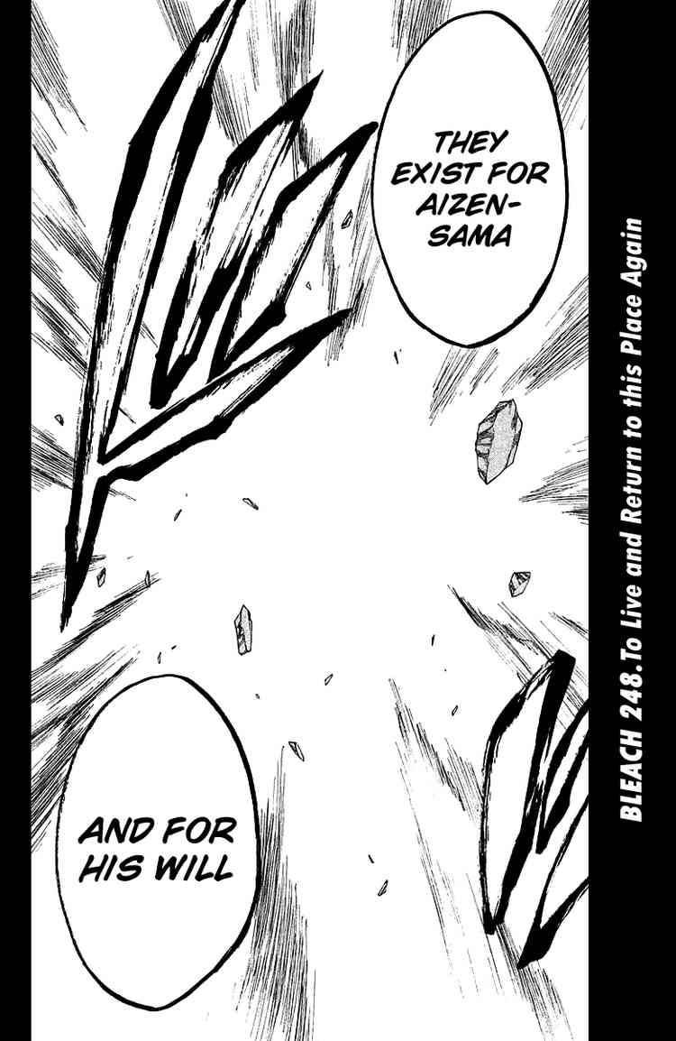 Bleach chapter 248 page 3