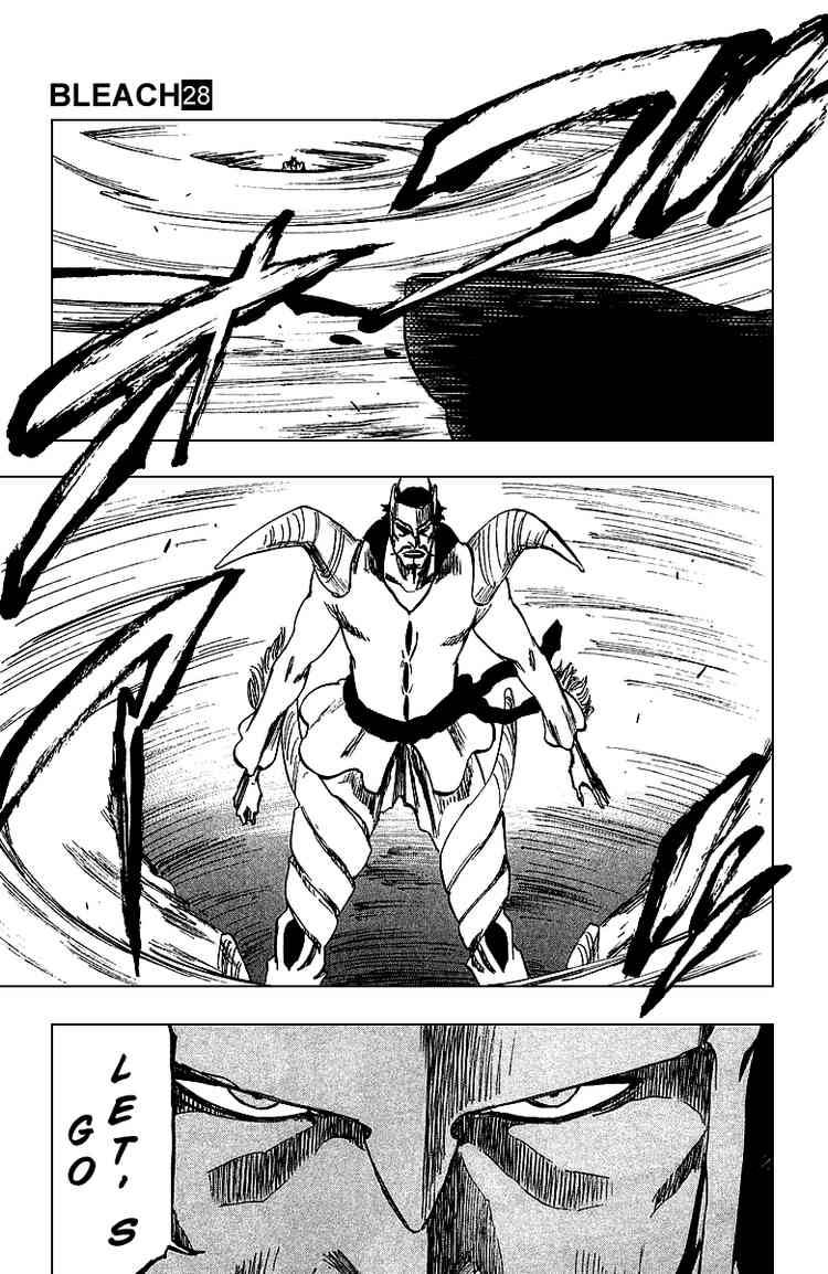 Bleach chapter 251 page 14
