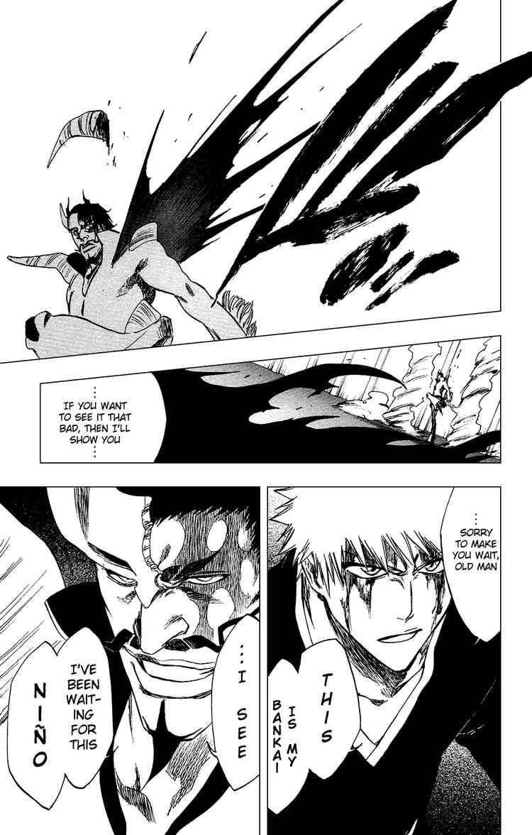 Bleach chapter 252 page 26