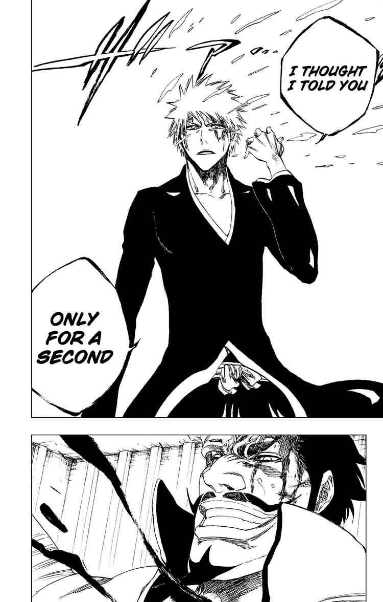 Bleach chapter 253 page 17