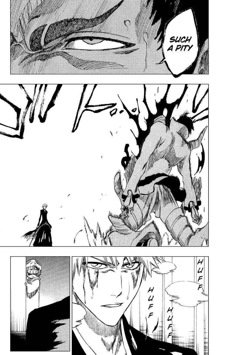 Bleach chapter 253 page 18