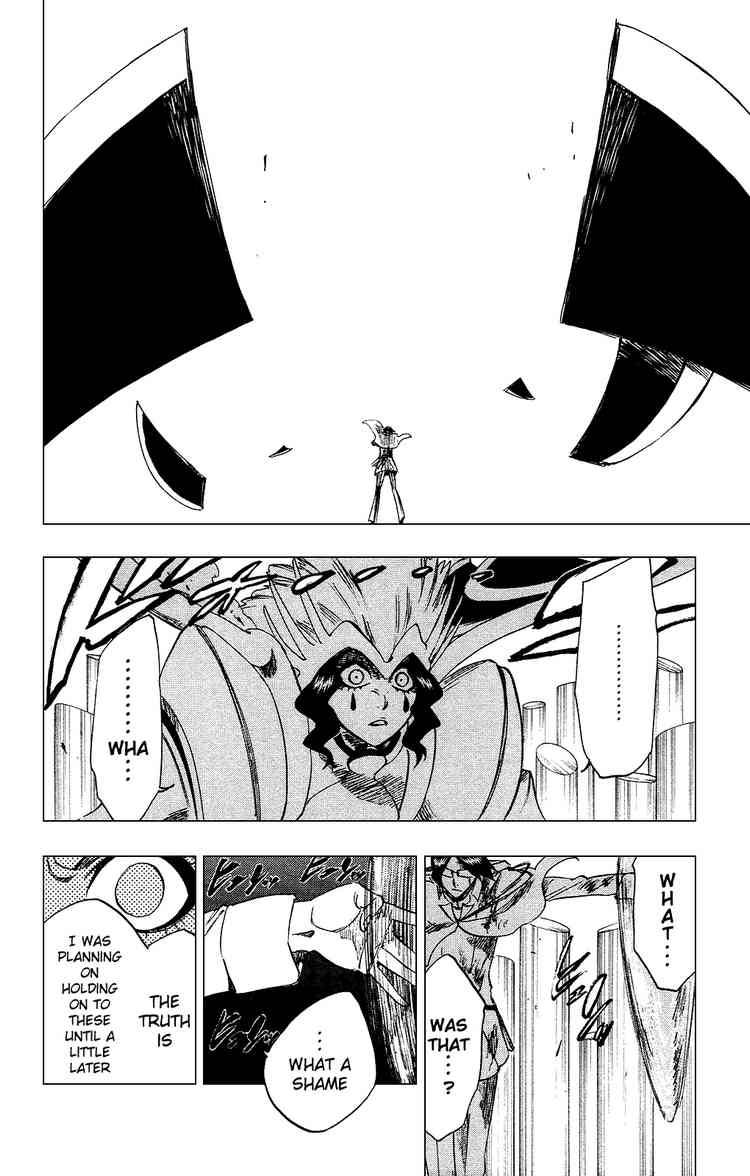 Bleach chapter 257 page 17