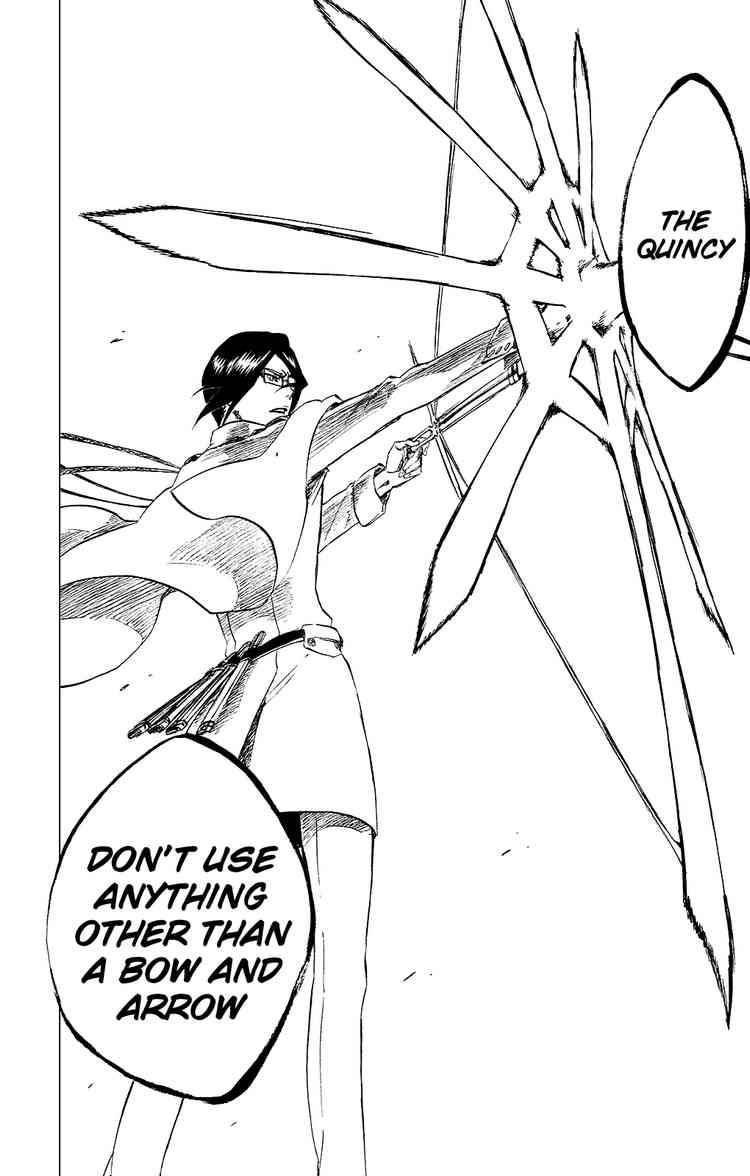 Bleach chapter 258 page 17