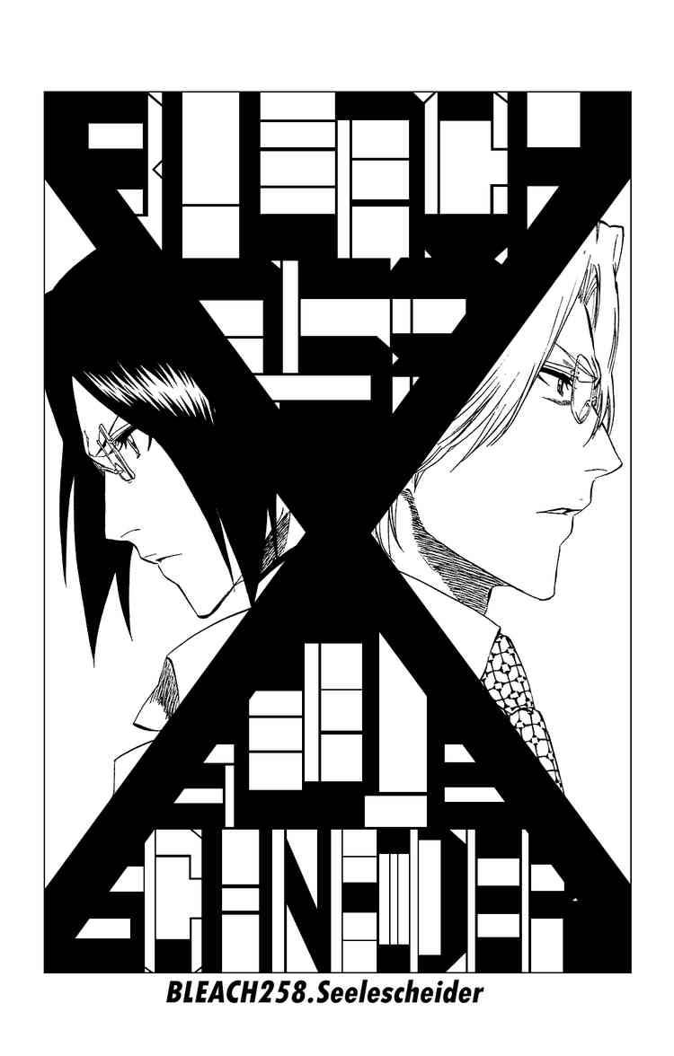 Bleach chapter 258 page 2
