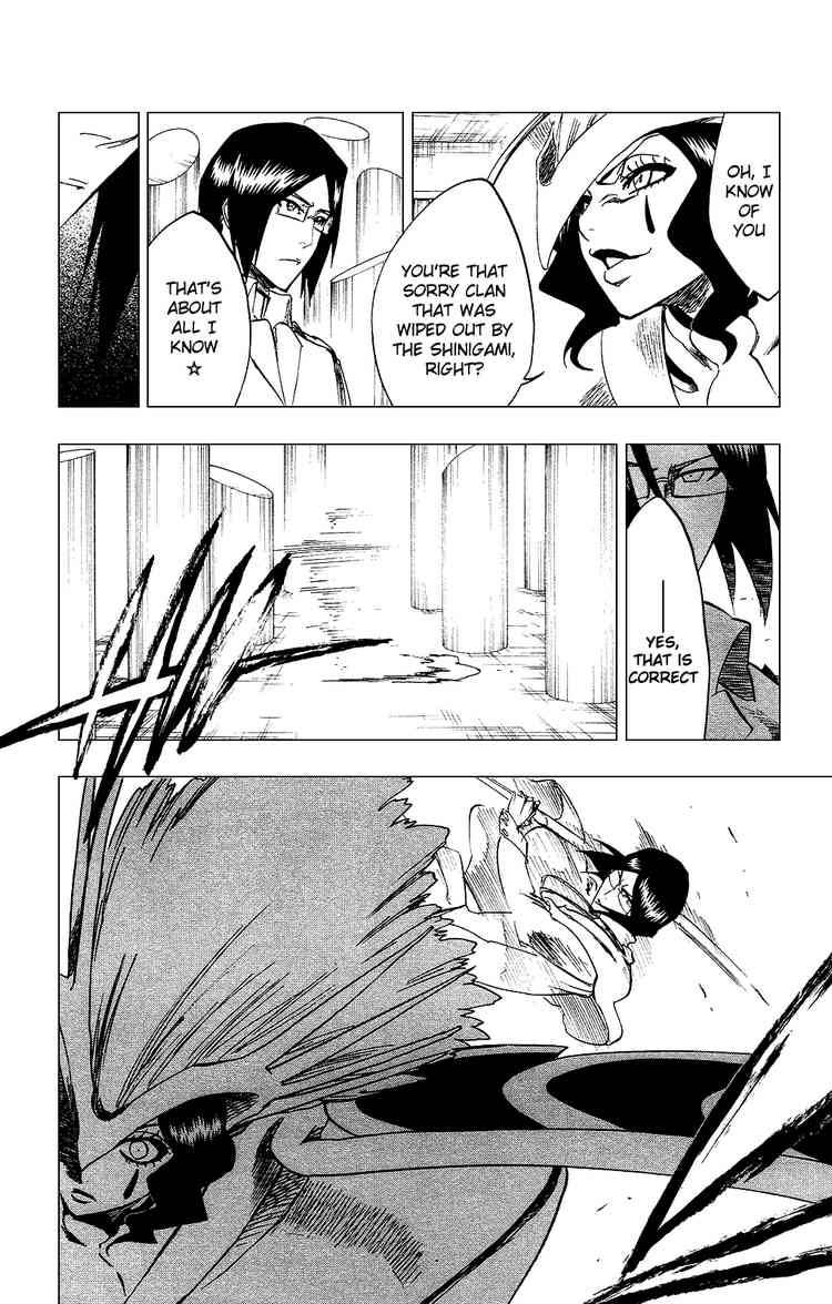 Bleach chapter 258 page 5
