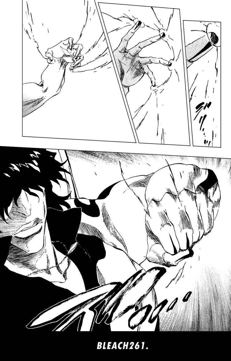 Bleach chapter 261 page 13