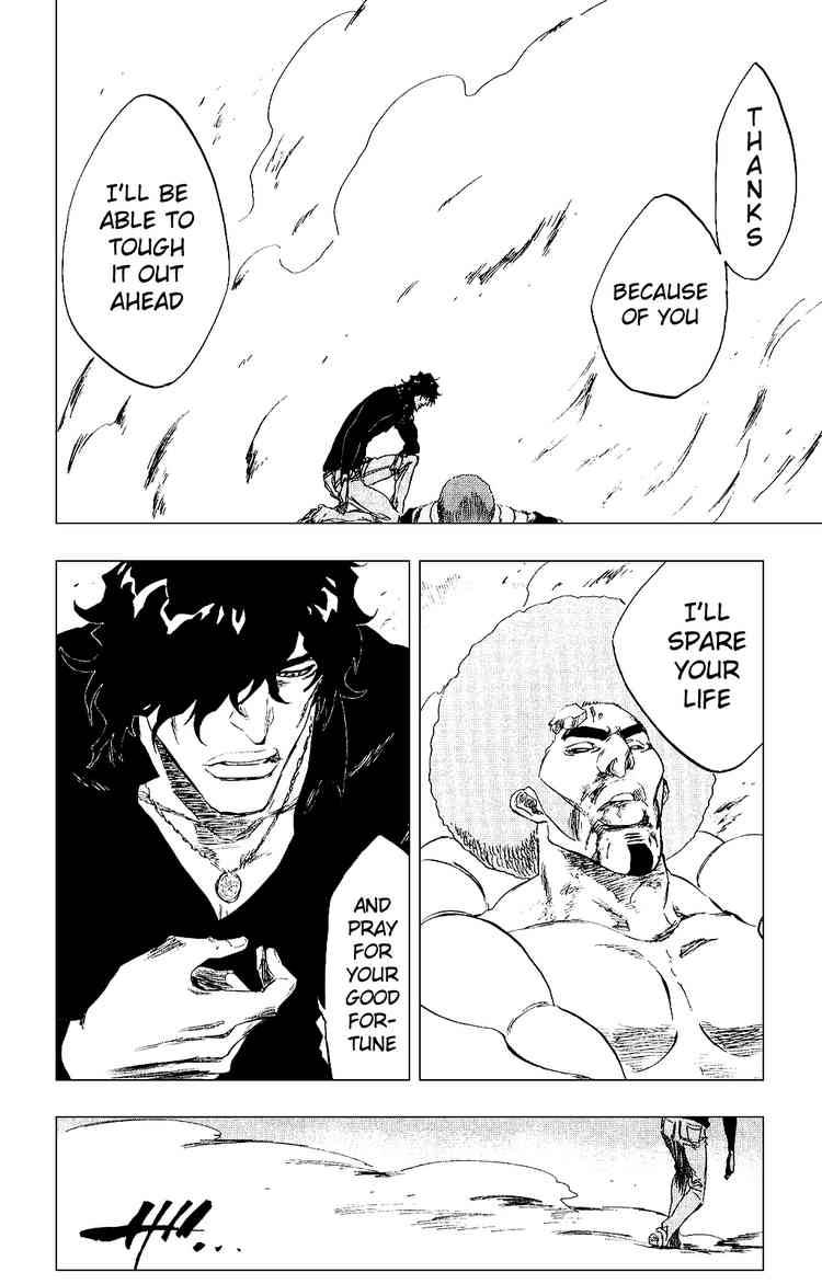 Bleach chapter 261 page 18