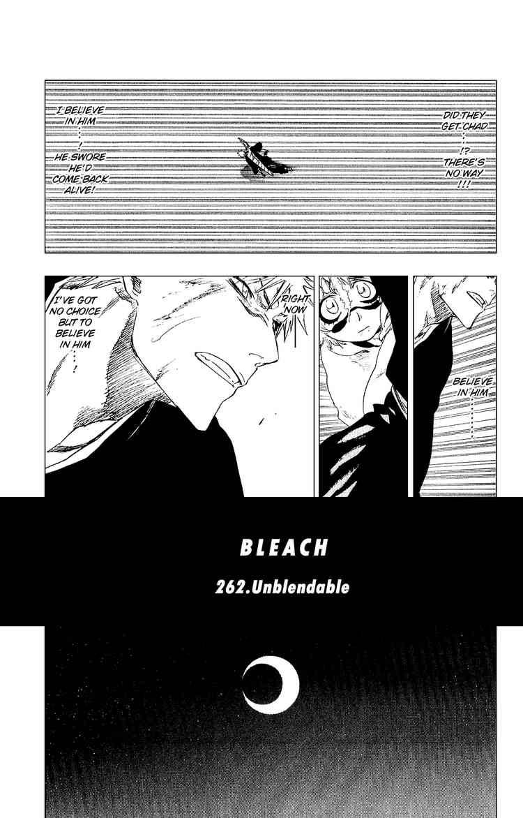Bleach chapter 262 page 4
