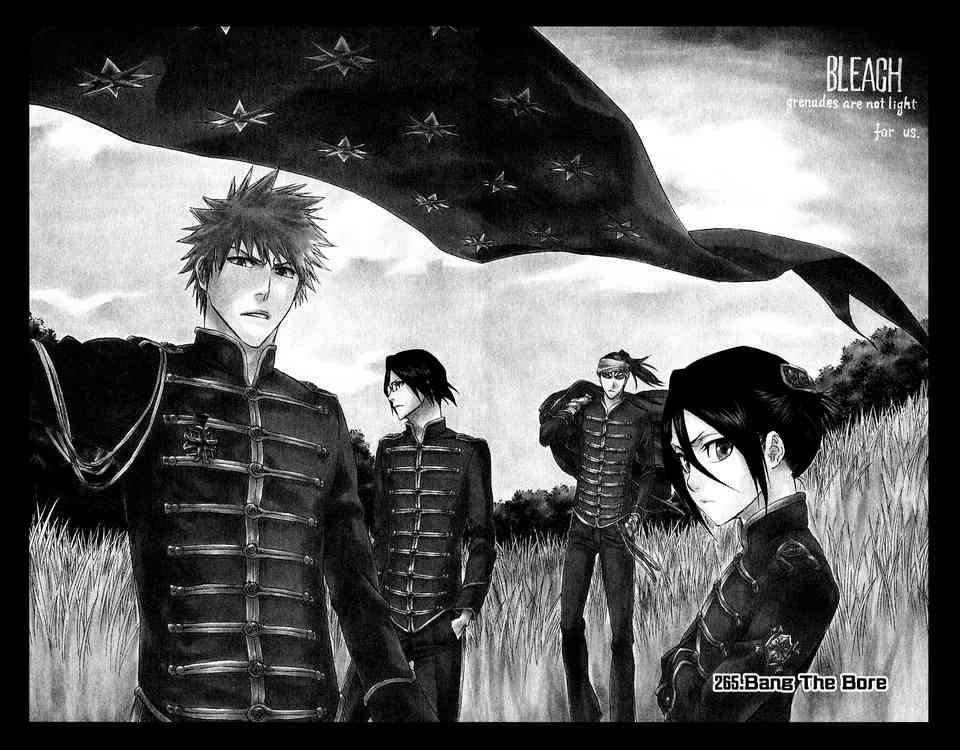Bleach chapter 265 page 1