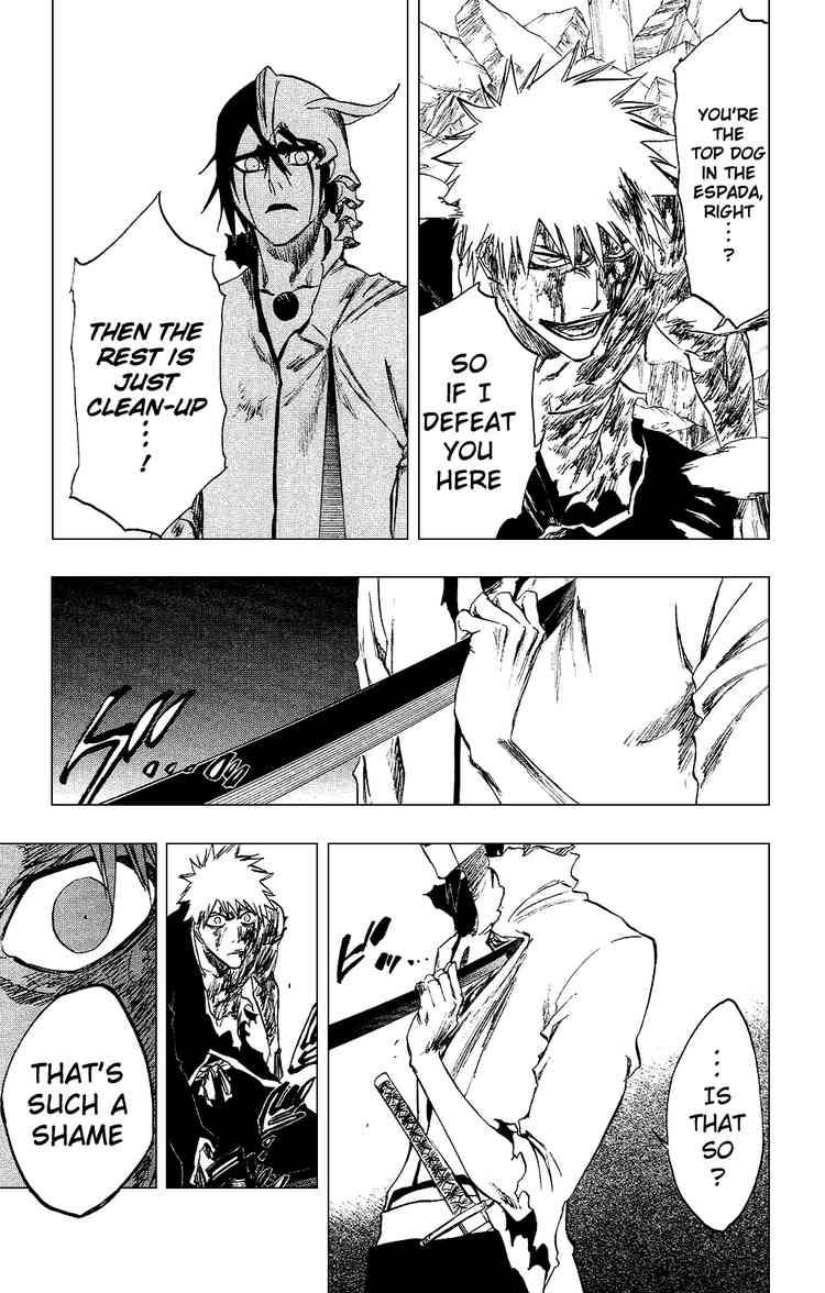 Bleach chapter 271 page 14