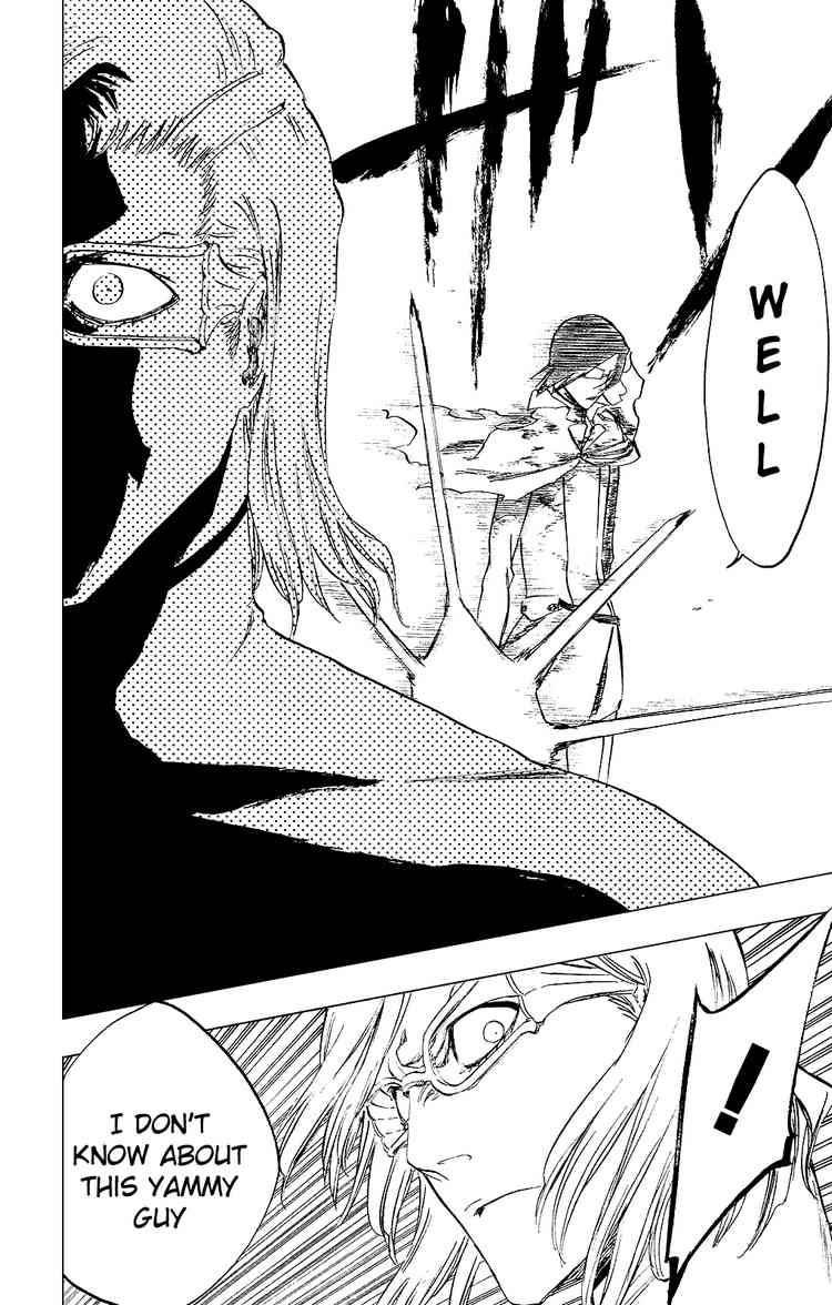 Bleach chapter 273 page 17