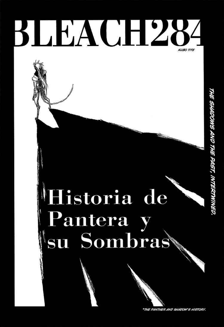 Bleach chapter 284 page 3