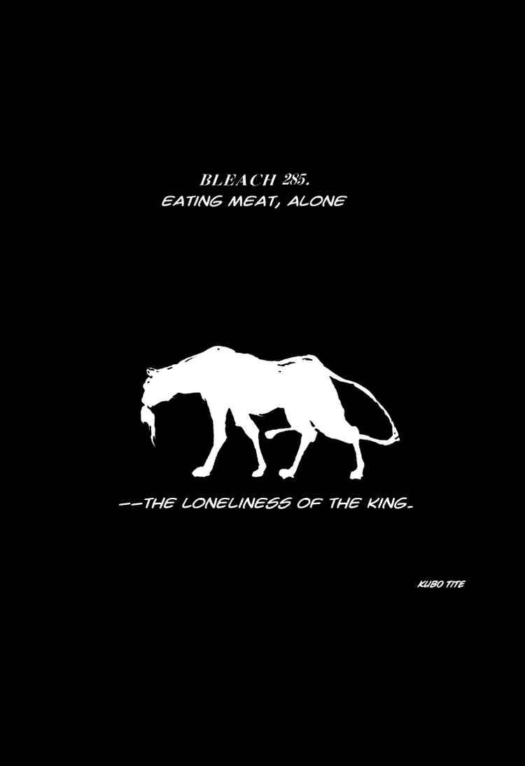 Bleach chapter 285 page 4