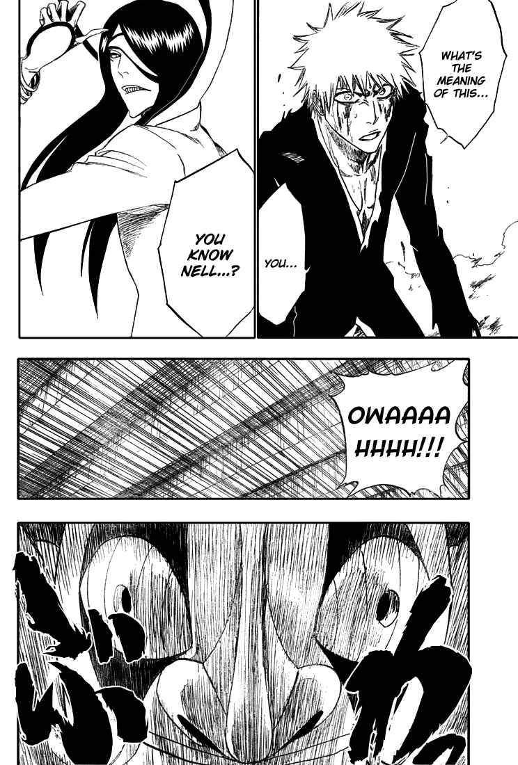 Bleach chapter 289 page 14