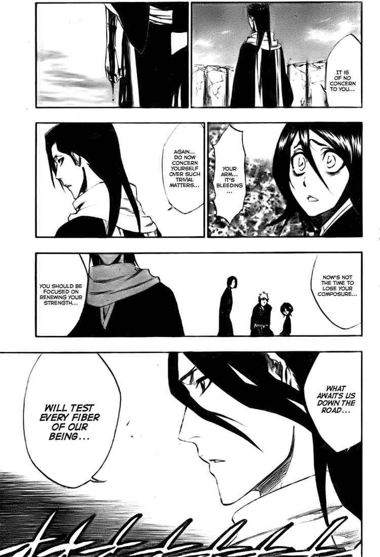 Bleach chapter 304 page 4
